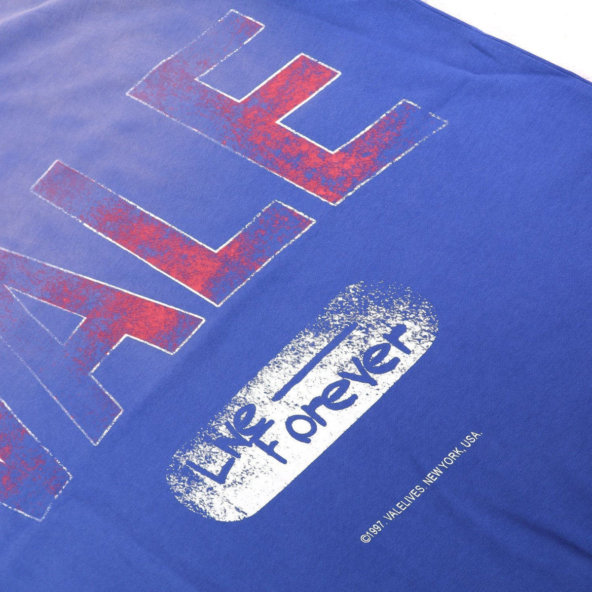 Valley Dreams Live Forever Distressed Graphic T-Shirt — detail
